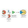 All-Photonic Kinase Inhibitors: Light-Controlled Release-and-Report Inhibition