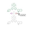 Rapid amplitude-modulation of a diarylethene photoswitch: En route to contrast-enhanced fluorescence imaging